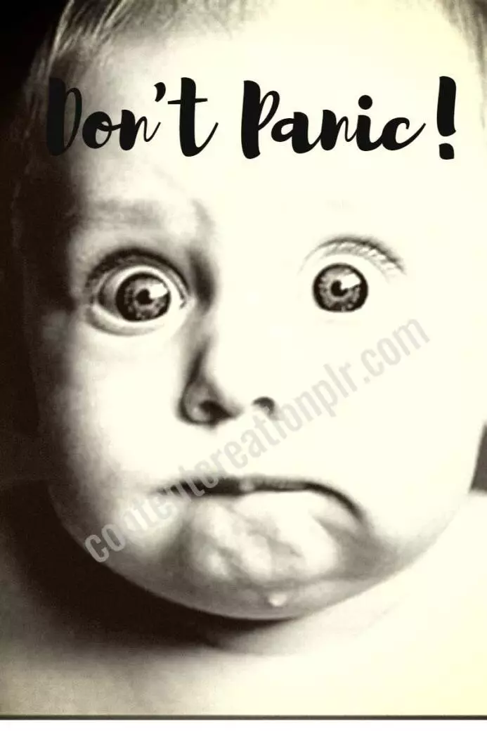 Vintage-Dont-Panic-contentcreationplr.com