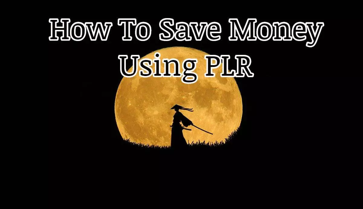 Save Money Using PLR